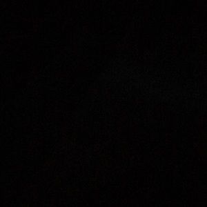 Meet your Posher, Lee